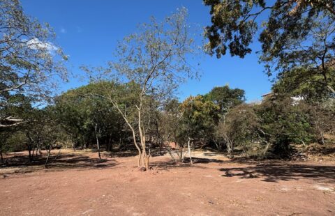 Terrenos residenciales en venta #488