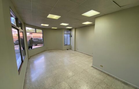 Local comercial en alquiler #479