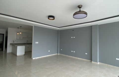 Apartamento en alquiler #477