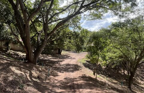 Terrenos residenciales en venta #488