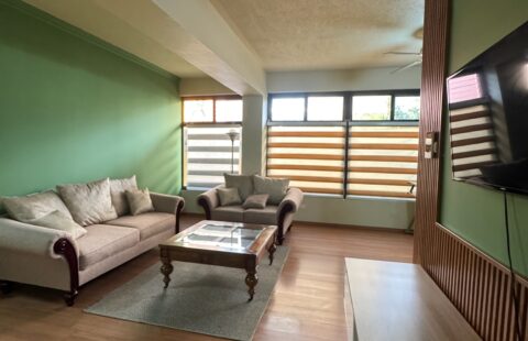 Apartamento en alquiler #160