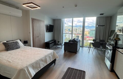 Apartamento en alquiler #457