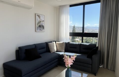 Apartamento en alquiler #235