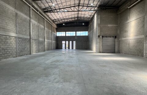 Bodega en alquiler #203