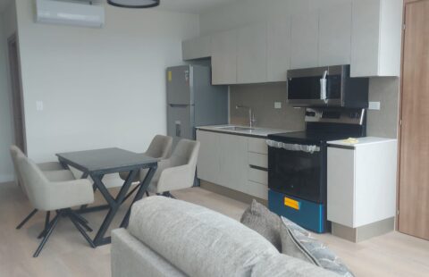 Apartamento en alquiler #150