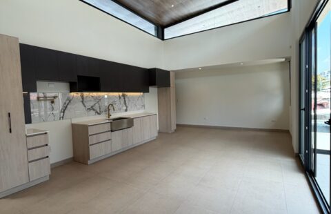 Penthouse en venta #197