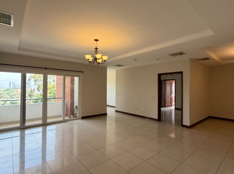 Apartamento en alquiler #162