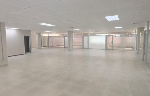 Edificio comercial en alquiler #19