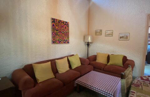 Apartamentos en alquiler #55