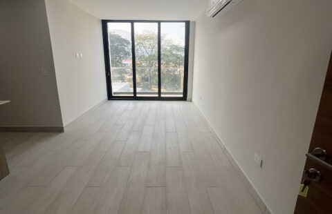 Apartamento en alquiler #156