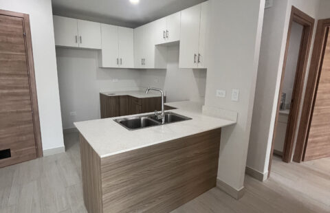 Apartamento en alquiler #147