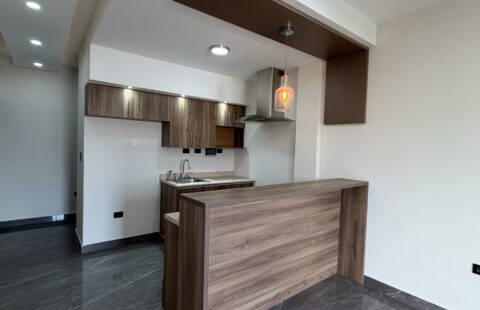Apartamento en alquiler #363