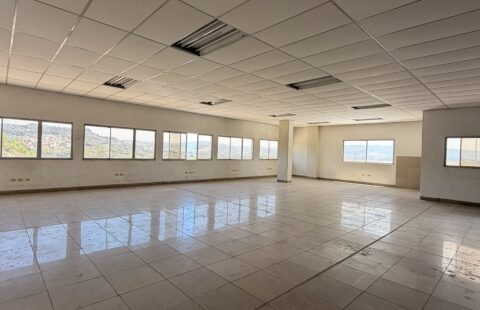 Edificio comercial en venta #386