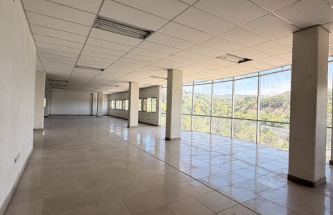 Edificio comercial en alquiler #374