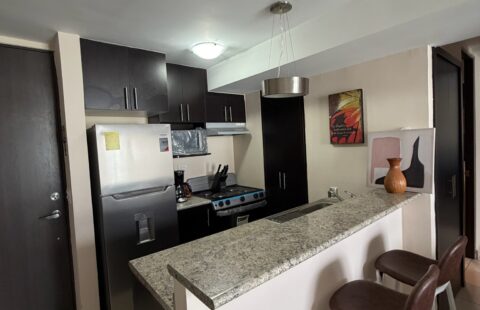 Apartamento en alquiler #291