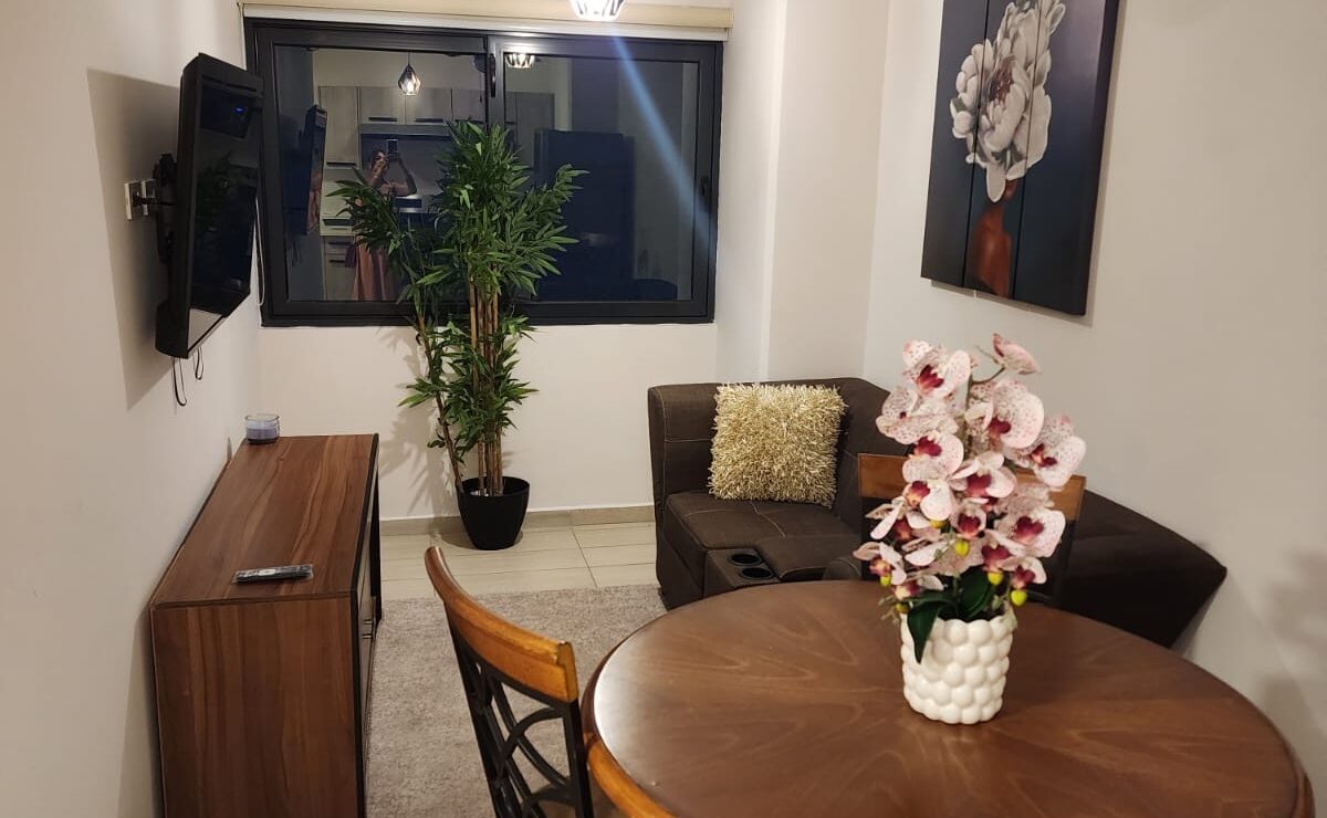 Apartamento en alquiler #479