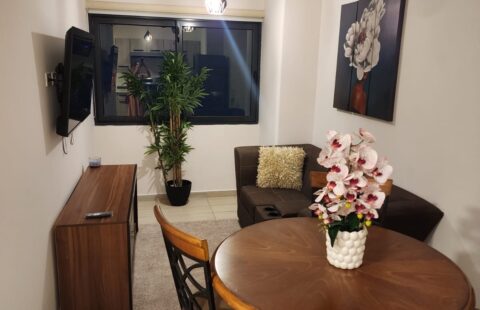 Apartamento en alquiler #479