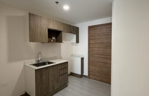 Apartamento en alquiler #450