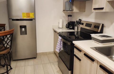 Apartamento en venta #480