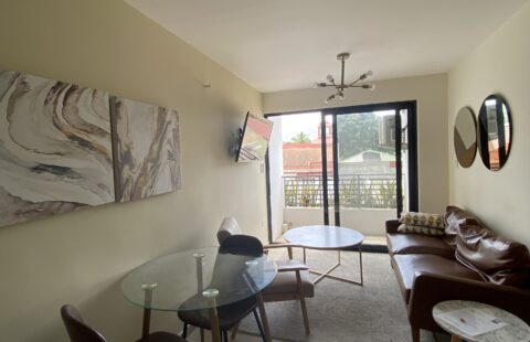 Apartamento en alquiler #176