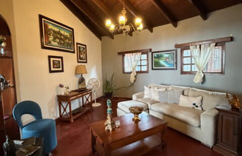 Propiedad comercial en venta #253