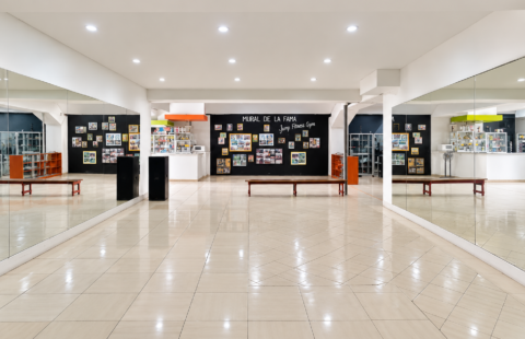 Edificio comercial en venta #128