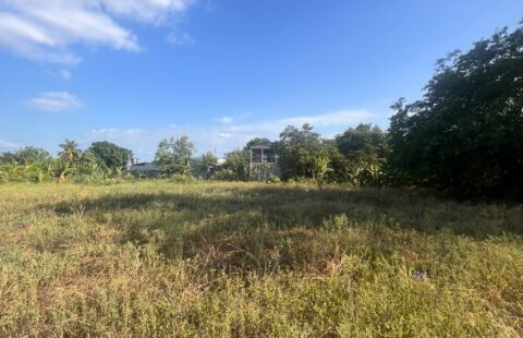 Terreno en venta #273
